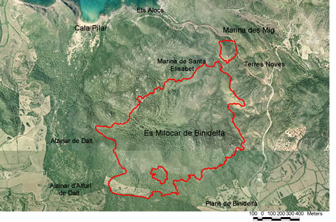 Mapa incendi es Milocar foto