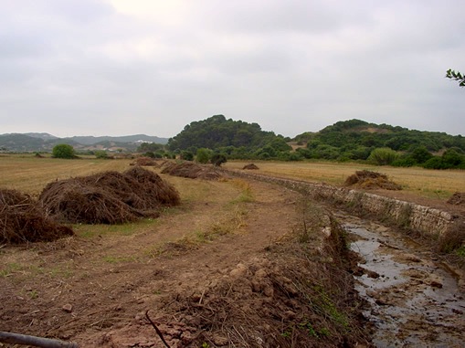 Torrent canalitzat amb paret seca i que ha sofert neteja mecànica.