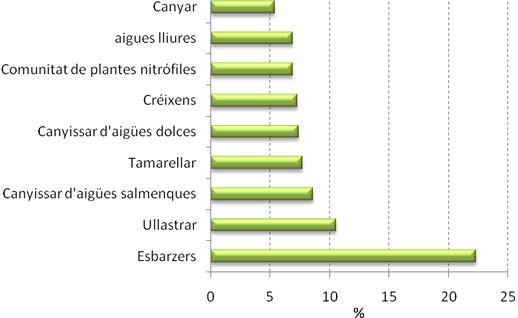 Vegetació als torrents de Menorca