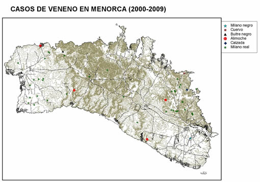 Casos de veneno detectados en Menorca y especies de aves afectadas, entre los años 2000 y 2009.