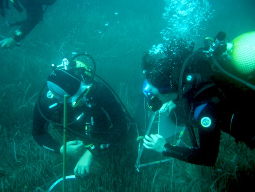 Voluntari de la Xarxa de Menorca i voluntària de la xarxa de Catalunya POSIMED I