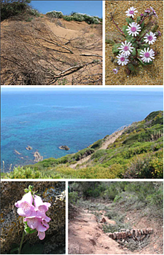 Simpòsium Experiències de Restauració d'Hàbitats i Conservaciói de la Biodiversitat